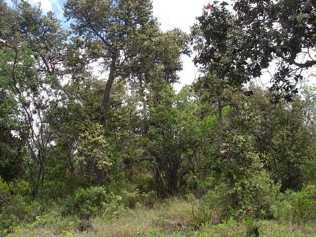 2nd image of Coral Pkwy Lot 32