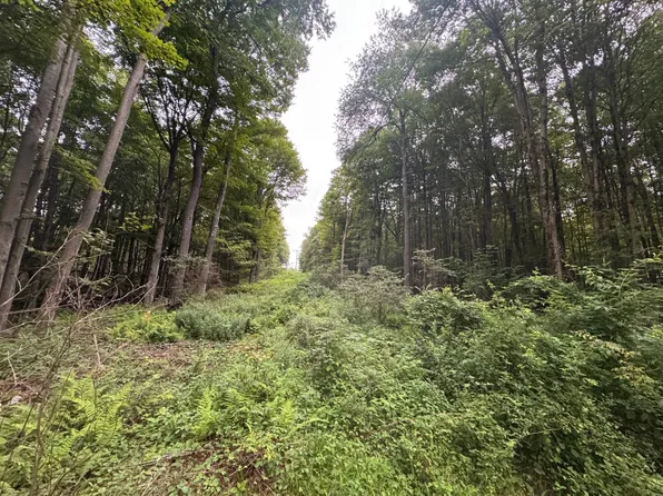 1 Sartell Rd, Thompson, PA 18465