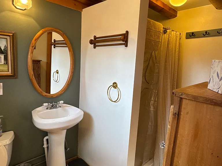 Hall bathroom 3/4 bathroom