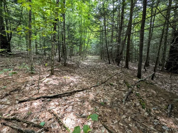 Buck Hollow Rd, Beaver Dams, NY 14812