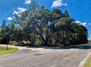 42381 W Saffron Ct, Eustis, FL 32736