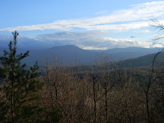 3rd image of Piney Butt Way Lot 448