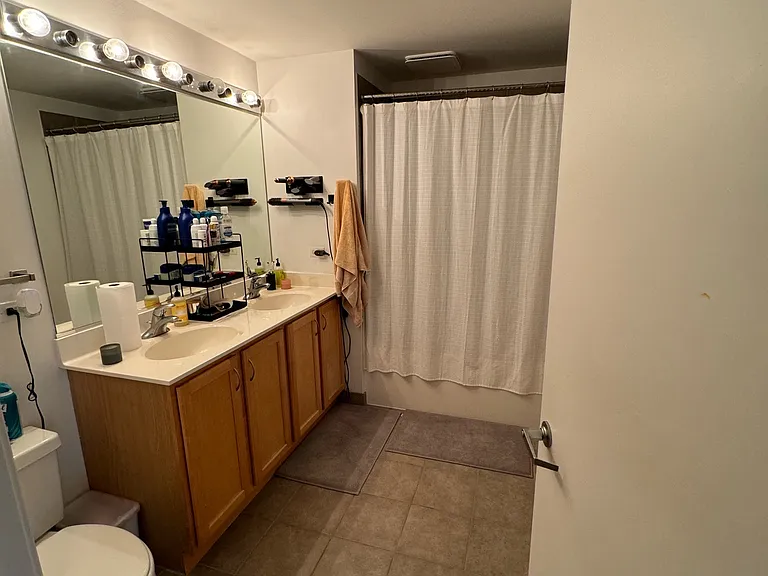1717 S Prairie Ave #907 — Photo 20