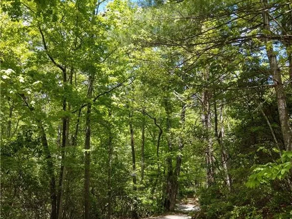 0 Dogwood Cir #E7, Penrose, NC 28766