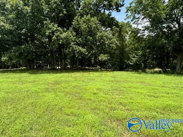 2 Apple Grove Rd, Baileyton, AL 35019