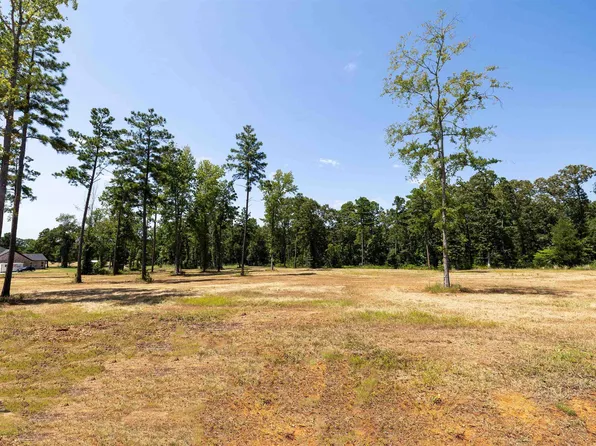 15922 Aniston Ln Lot 20, Flint, TX 75762