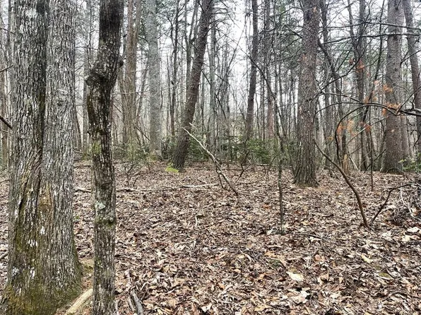 13 Wilderness Ct, Blairsville, GA 30512