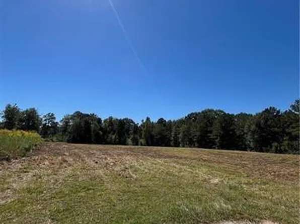 1 Gemstone Dr, Franklinton, LA 70438