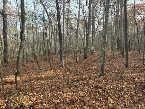 25 Down Pl, Monterey, TN 38574