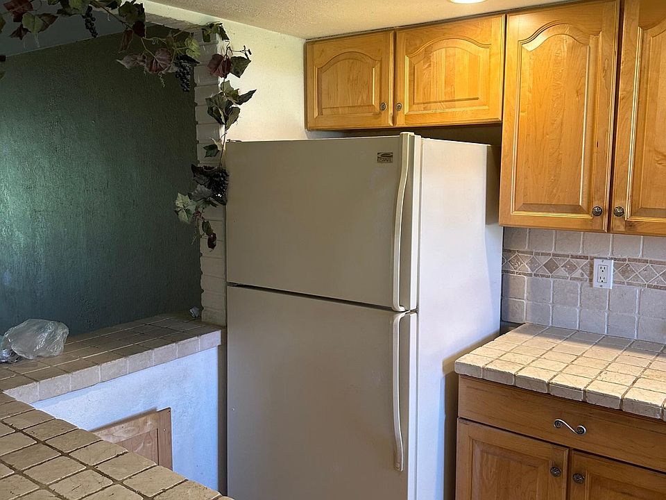 Kitchen Fridge