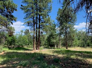 Nhn Downing Ln, Hamilton, MT 59840