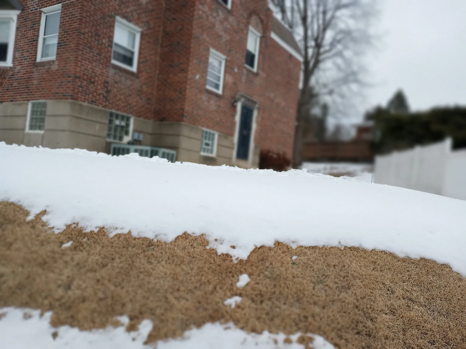 693 W Walnut Ln — Photo 4