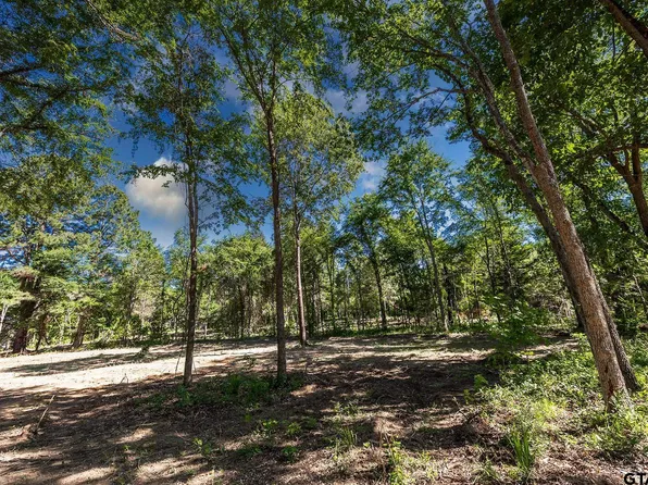 3236 N Fm 346 Lot 2, Bullard, TX 75757