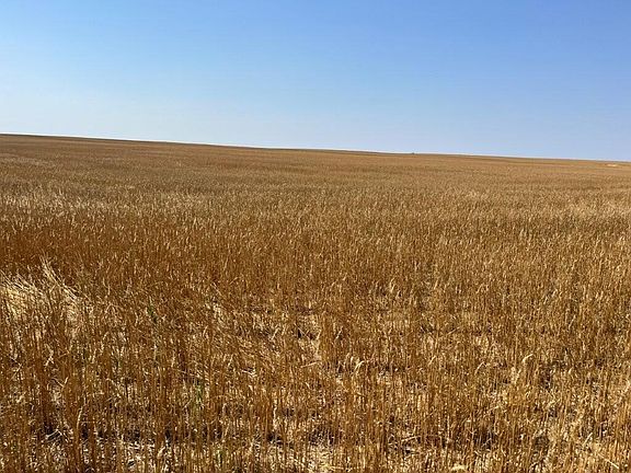 5th image of Dakota St #1804