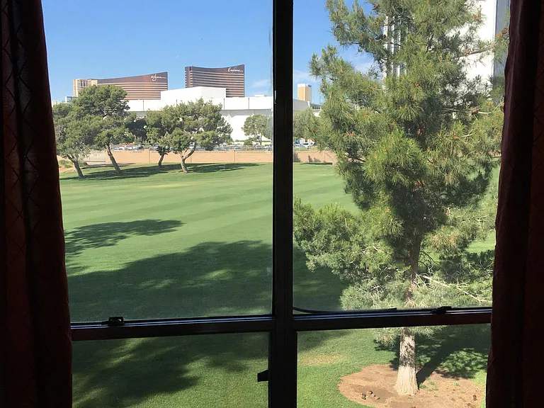Dinning Room window Strip View