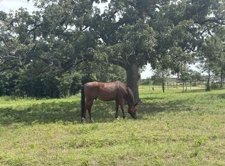 1430 Antioch Rd, Paige, TX 78659