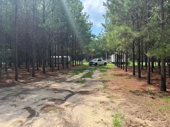 187 Tiny Ln, Smoaks, SC 29481