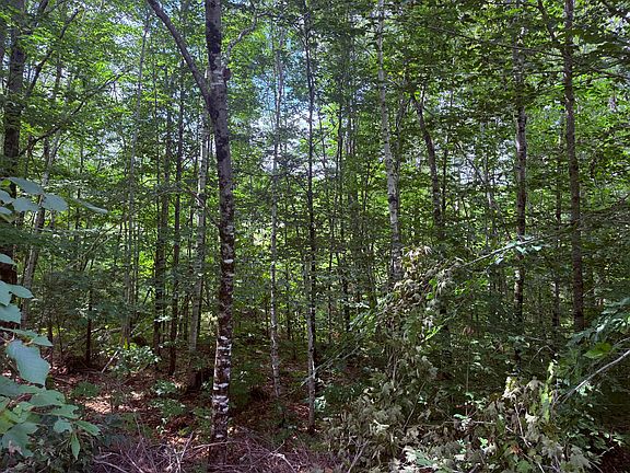 3rd image of TBD Sawyer Mountain Road