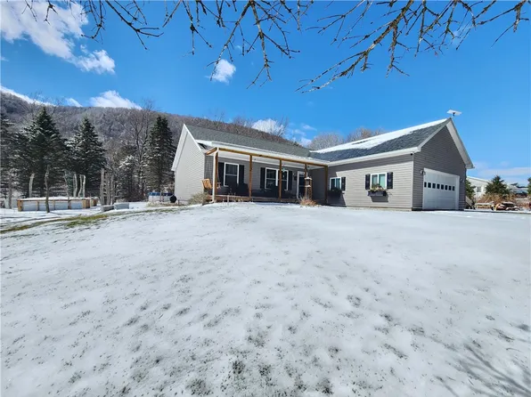 111 Patchen Ct, Spencer, NY 14883