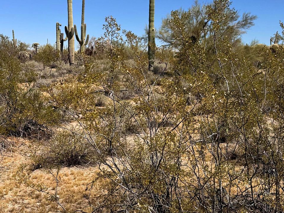 1st image of 0 S Cattle Tank Rd #0