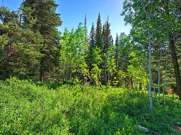 3rd image of 9428 E Elk Haven Rd