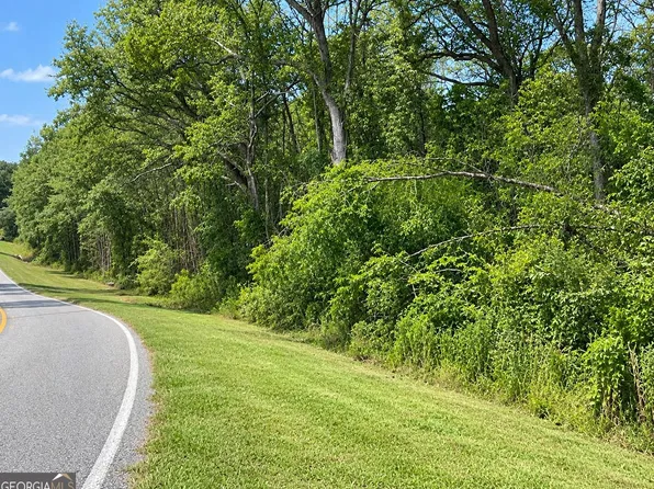0 Cannonville Rd, Abbeville, GA 31001