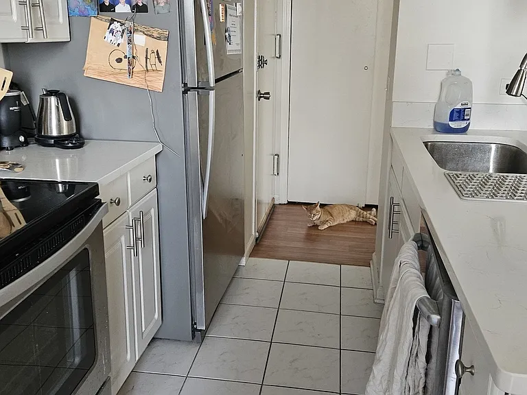 1540 N La Salle Dr #1005 — Photo 3