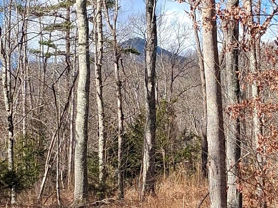 1st image of 0 Meadors Mill Rd