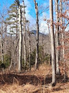 0 Meadors Mill Rd, Bedford, VA, 24523