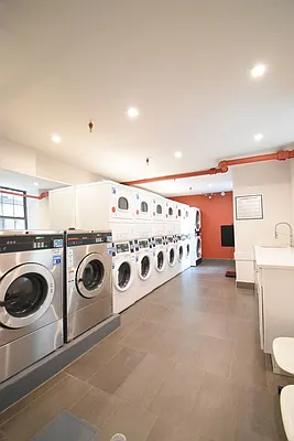 Rented by Monarch Realty Holdings | media 14