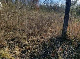 43 Scenic Lakeview Dr, Spring City, TN 37381