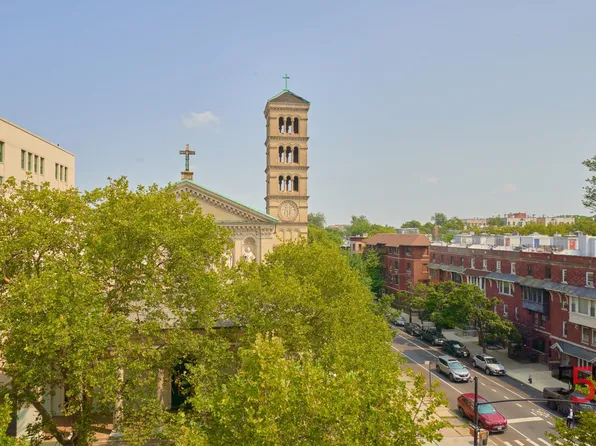 246 Brooklyn Avenue image 25 of 25