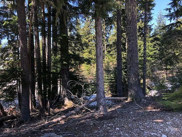 2nd image of 89885 E Morrison Ln