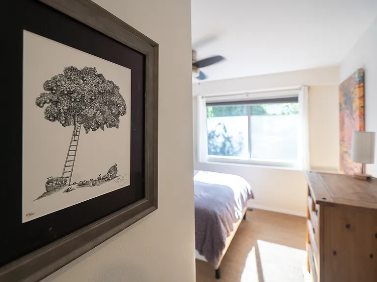 2822 Ben Lomond Dr — Photo 20