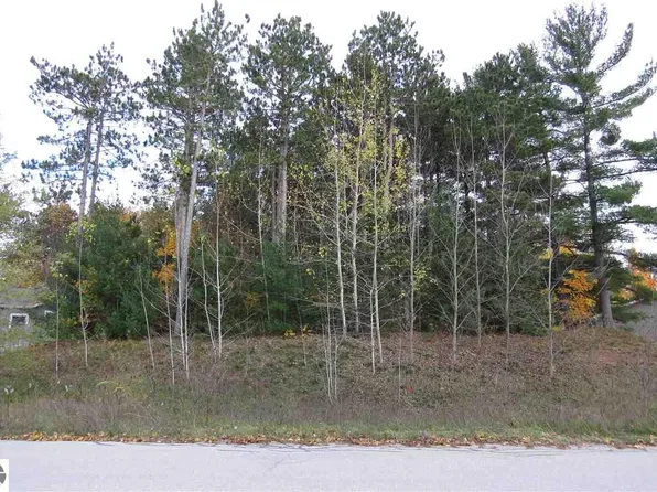 LOT 92 Eden St, Kingsley, MI 49649