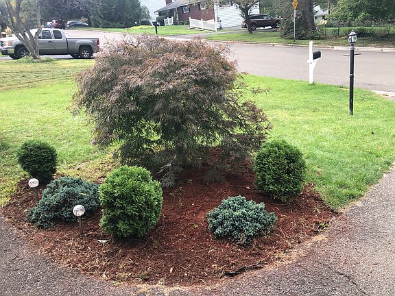 Nice trees/shrubbery.