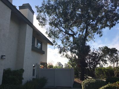 237 Countryhaven Rd, Encinitas, CA, 92024
