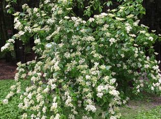 49 Angier Rd, Fitzwilliam, NH 03447