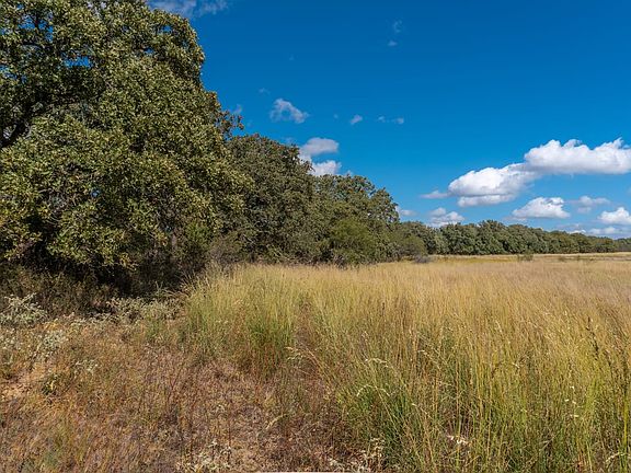 Owner Financed Land For Sale in Brown Co. TX near Brownwood, Texas