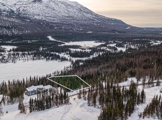 L11 Harmany Ranch Rd, Eagle River, AK 99577