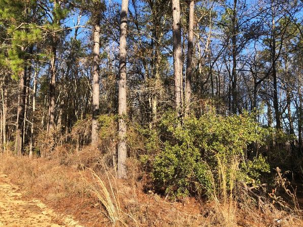 0 Scarlet Rd, Lyons, GA 30436