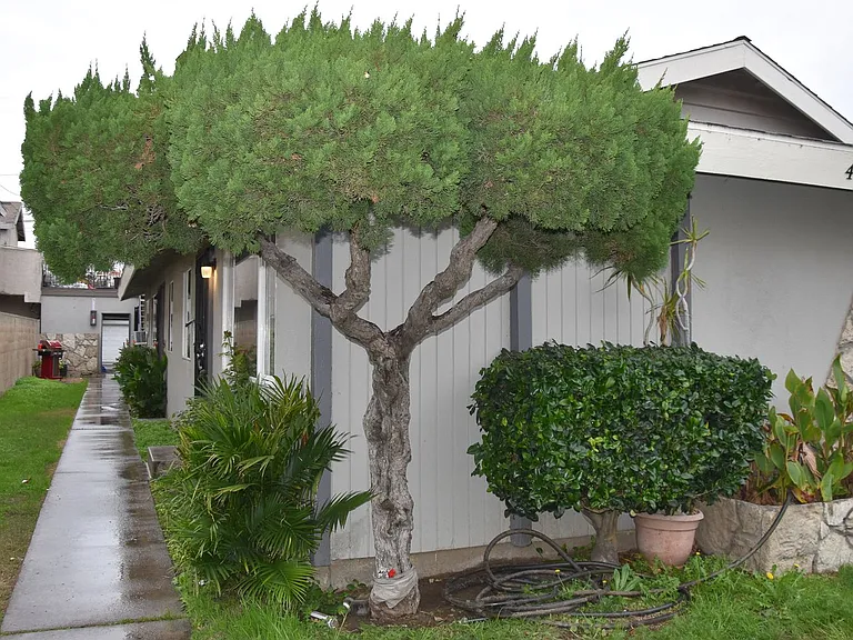 411 Kroeger St — Photo 20