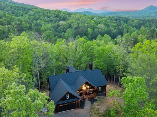 595 Arp Rd, Mineral Bluff, GA 30559