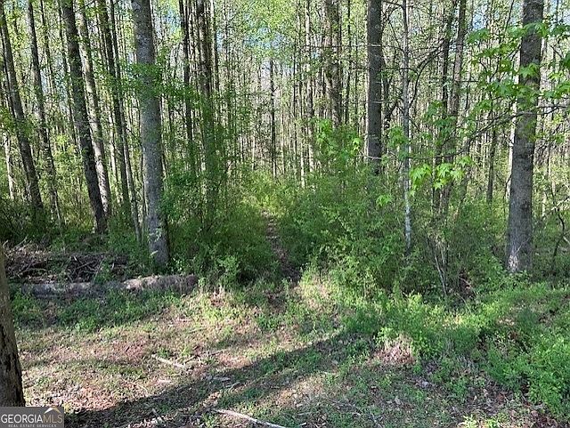 1st image of 0 Glade Rocks Springs Rd