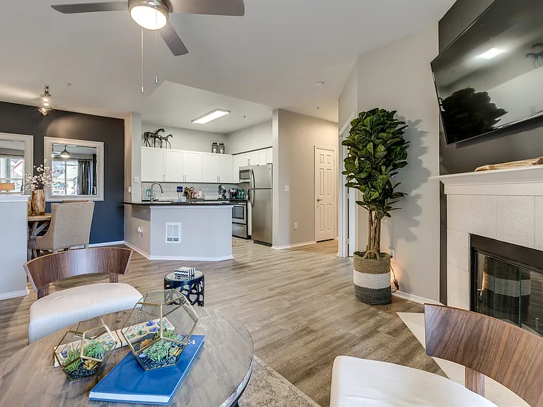 Patio or Deck