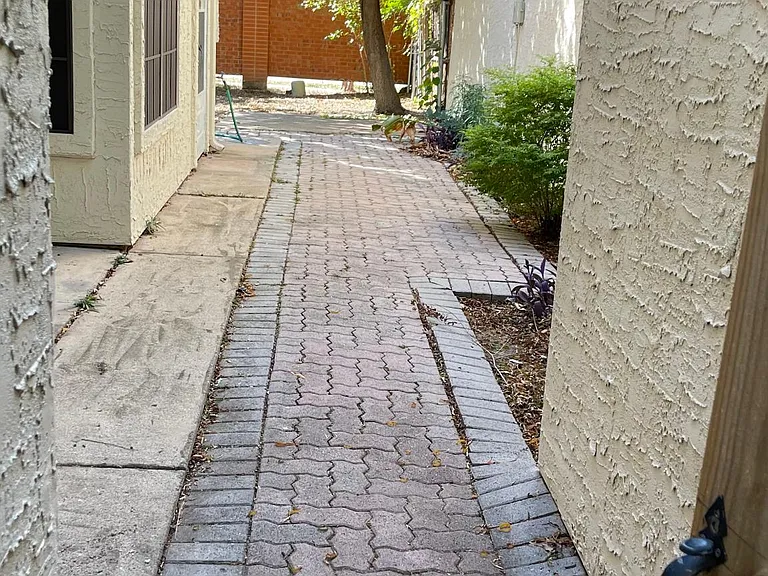 Side yard