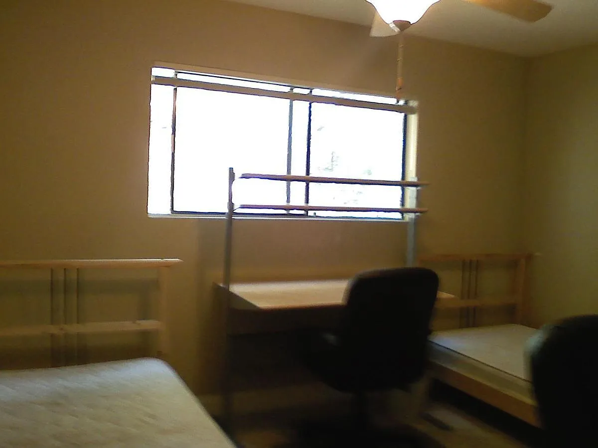 2 bed, 600 sqft, $950 — Photo 2