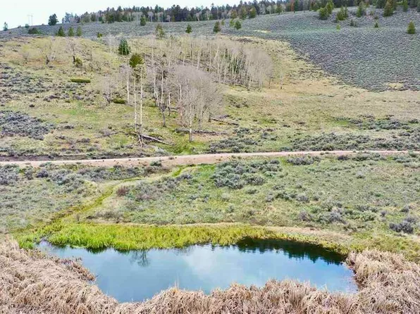 297 & 358 Uncompahgre Drive, Gunnison, CO 81230