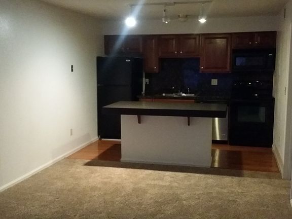 Open living room and kitchen