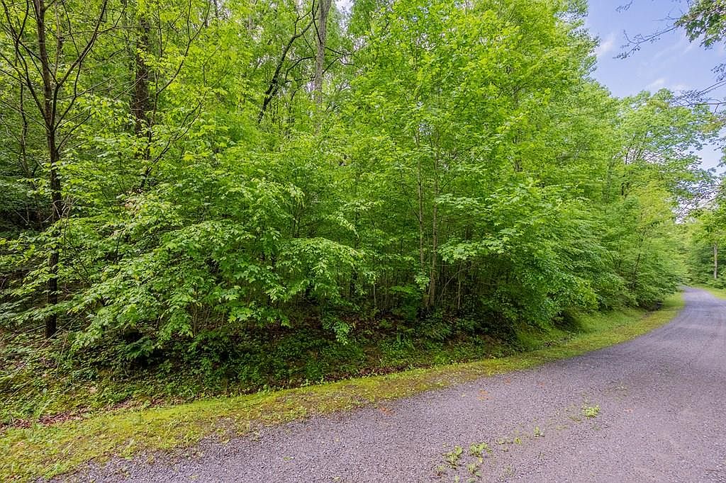 LOT 25 Brookstone Rd, Bastian, VA 24314 MLS 86850 Zillow